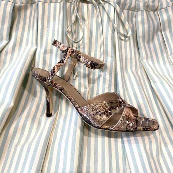 Reptile print