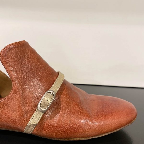 Jūshi Shoe