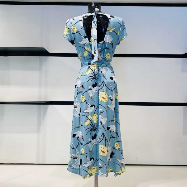 Exotic Dress