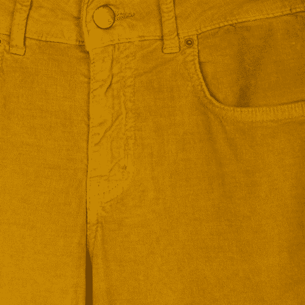 Velvet Mustard | DIEGO ZORODDU