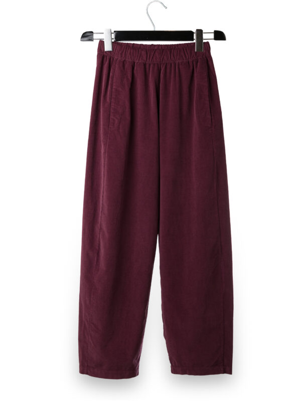 Wine Curved Pants | DIEGO ZORODDU