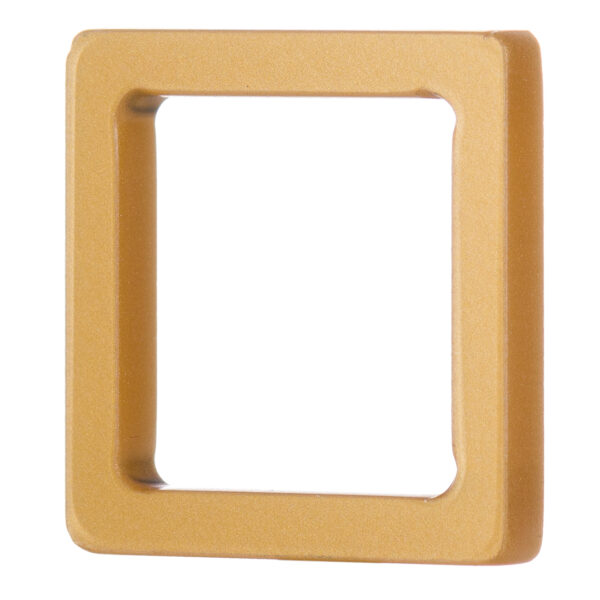 Anello Plexi Gold | DIEGO ZORODDU