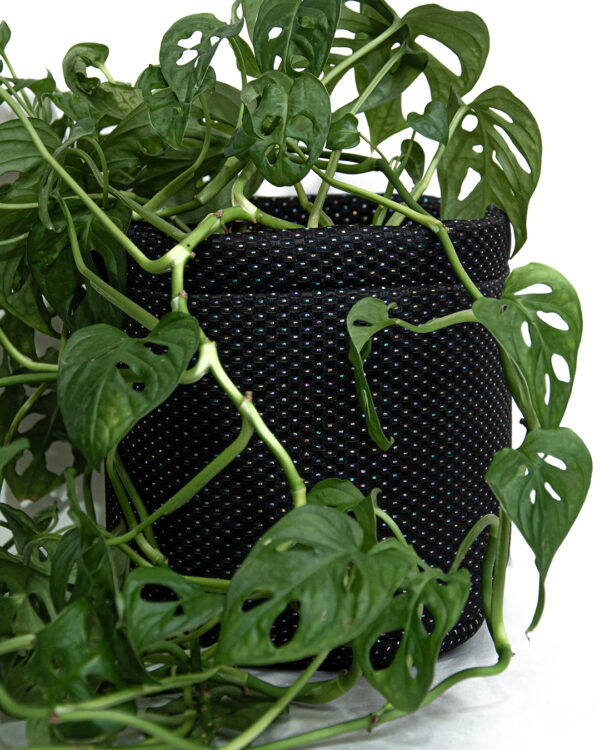 Porta Pianta Black Multi | DIEGO ZORODDU