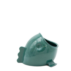 Elio Lucido Piccolo | DIEGO ZORODDU