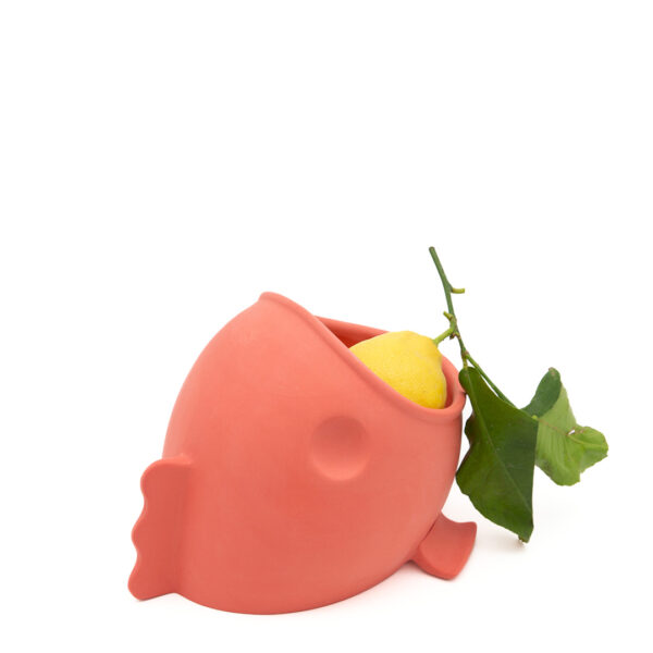 Elio Opaco Piccolo | DIEGO ZORODDU