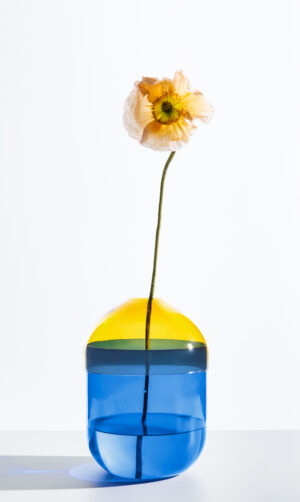 vaso fio giallo e azzurro