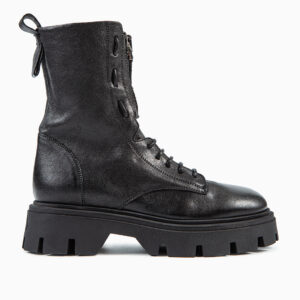 anfibio rock nero